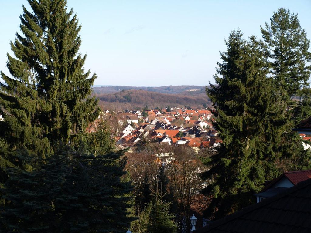 Hotel-Pension Ursula Bad Sachsa Bagian luar foto